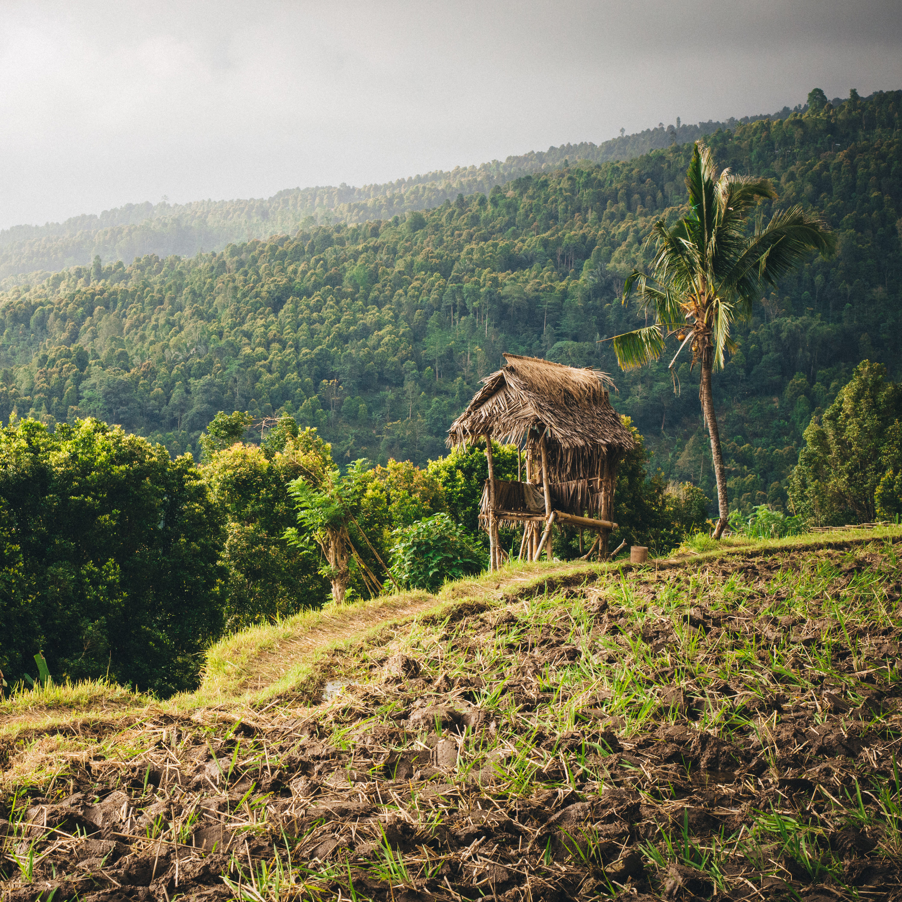 Bali