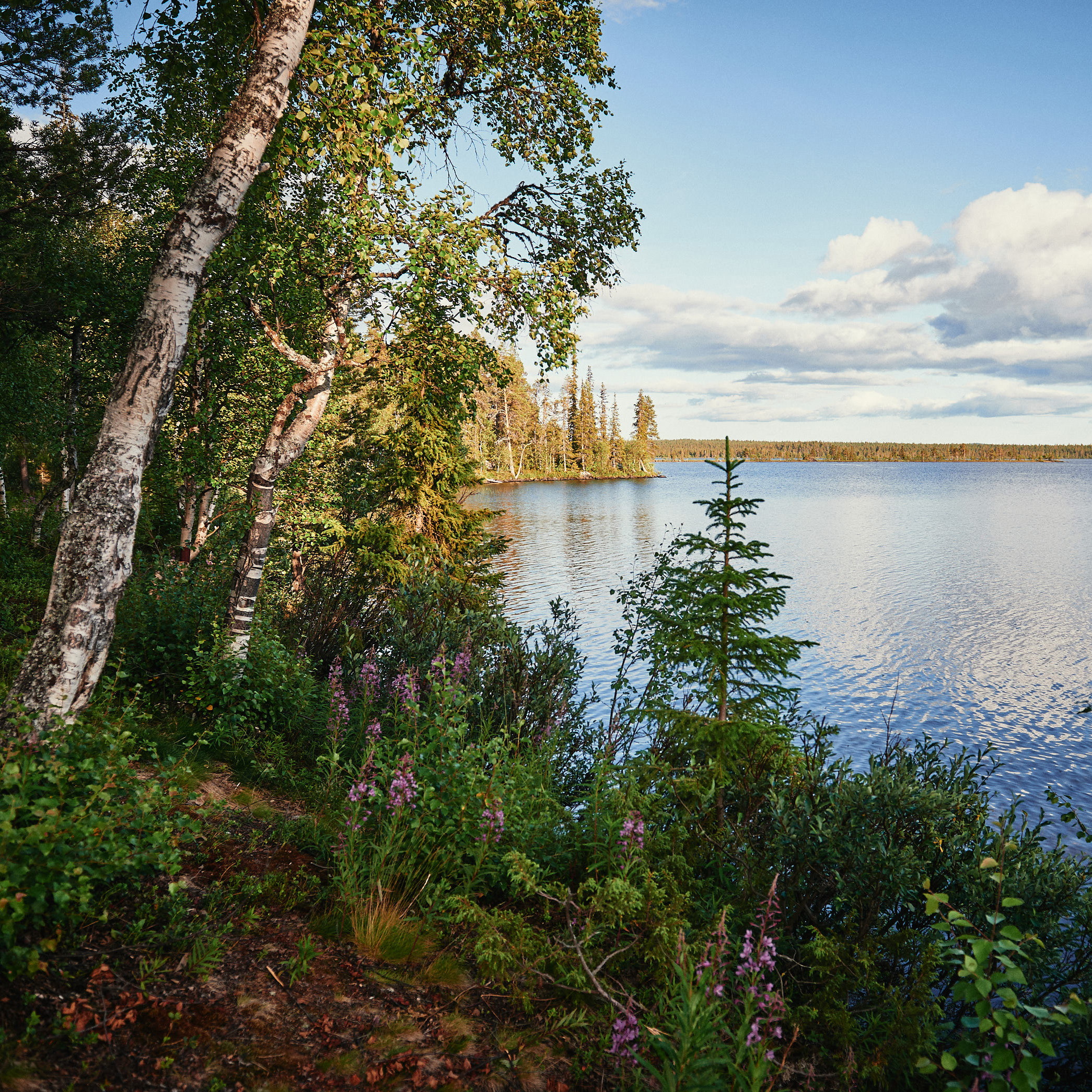 Sverige